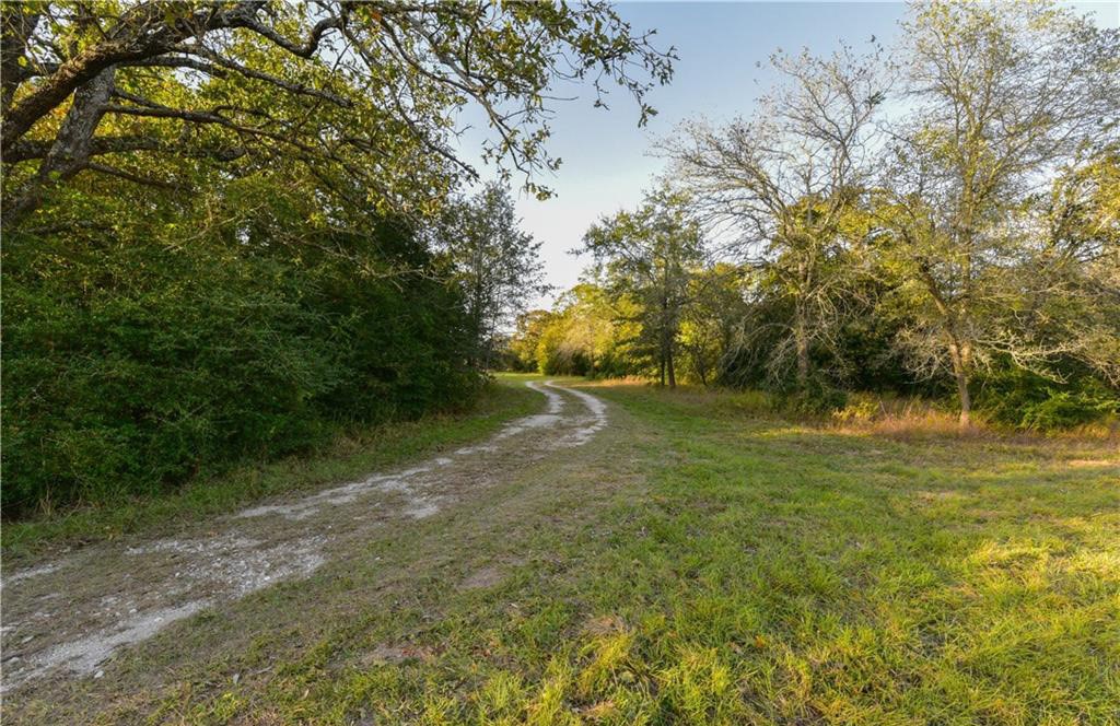 12200 Winn Road Franklin, TX 77856 - Photo 27 of 33 a view of outdoor space and yard