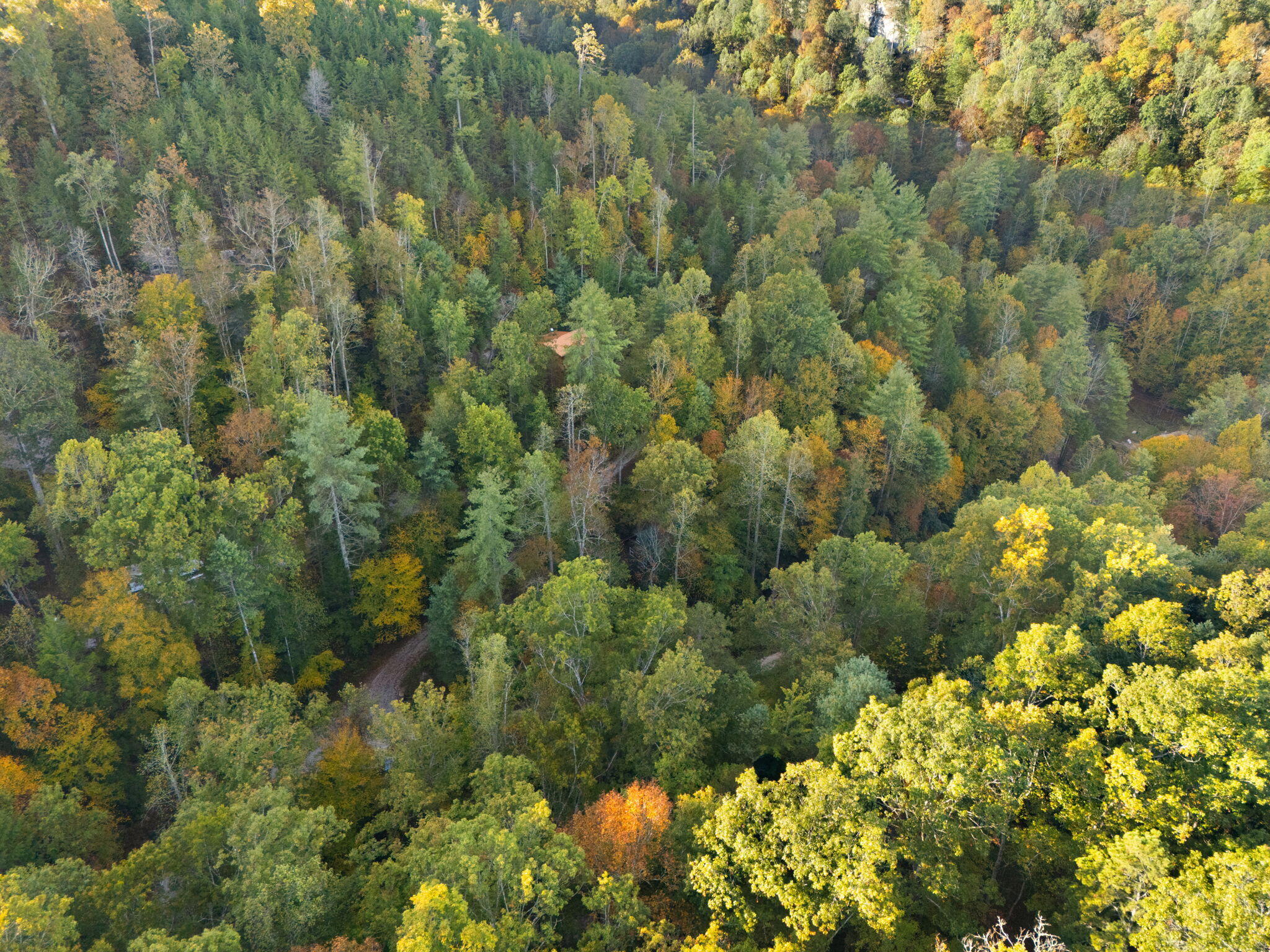 645 Right Fork Fixer Road, Unit LOT 103 Zoe, KY 41397 - Photo 37 of 38 46-web-or-mls-DJI_20251014084927_0052_D
