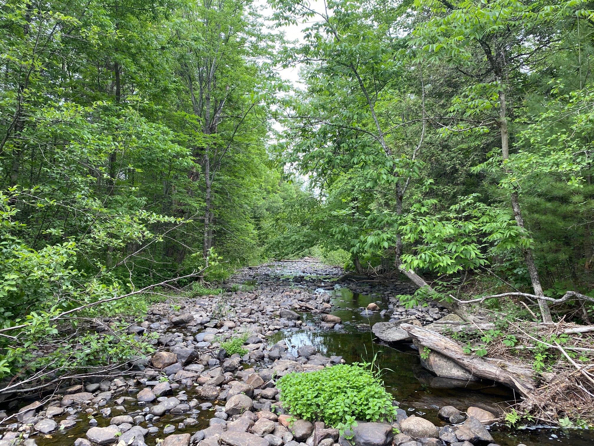 M11-l50 Molunkus Road Cornville, ME 04976 - Photo 4 of 11 IMG_3253