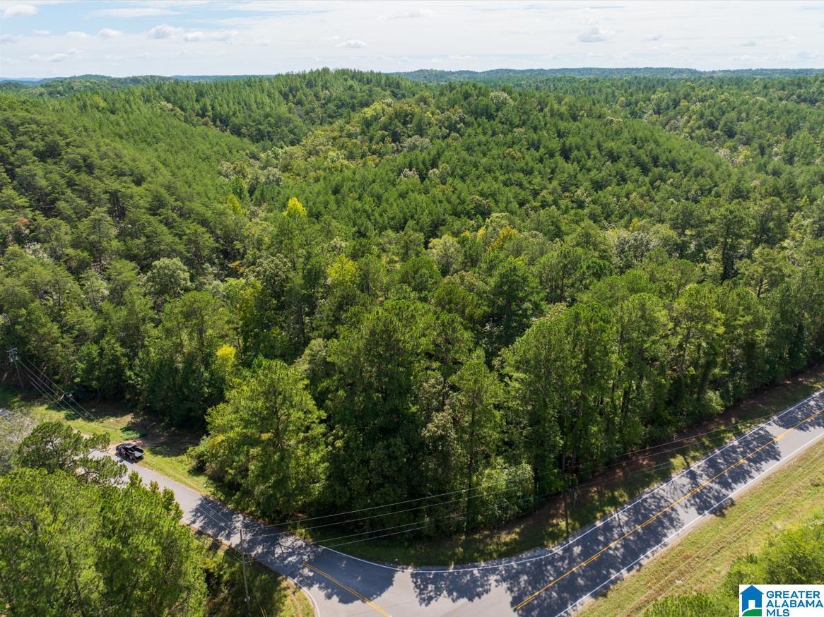 145 Co Road Marbury, AL 36051 - Photo 5 of 12