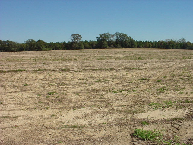 P13 Furnie Jackson Road Ashford, AL 36312 - Photo 1 of 1