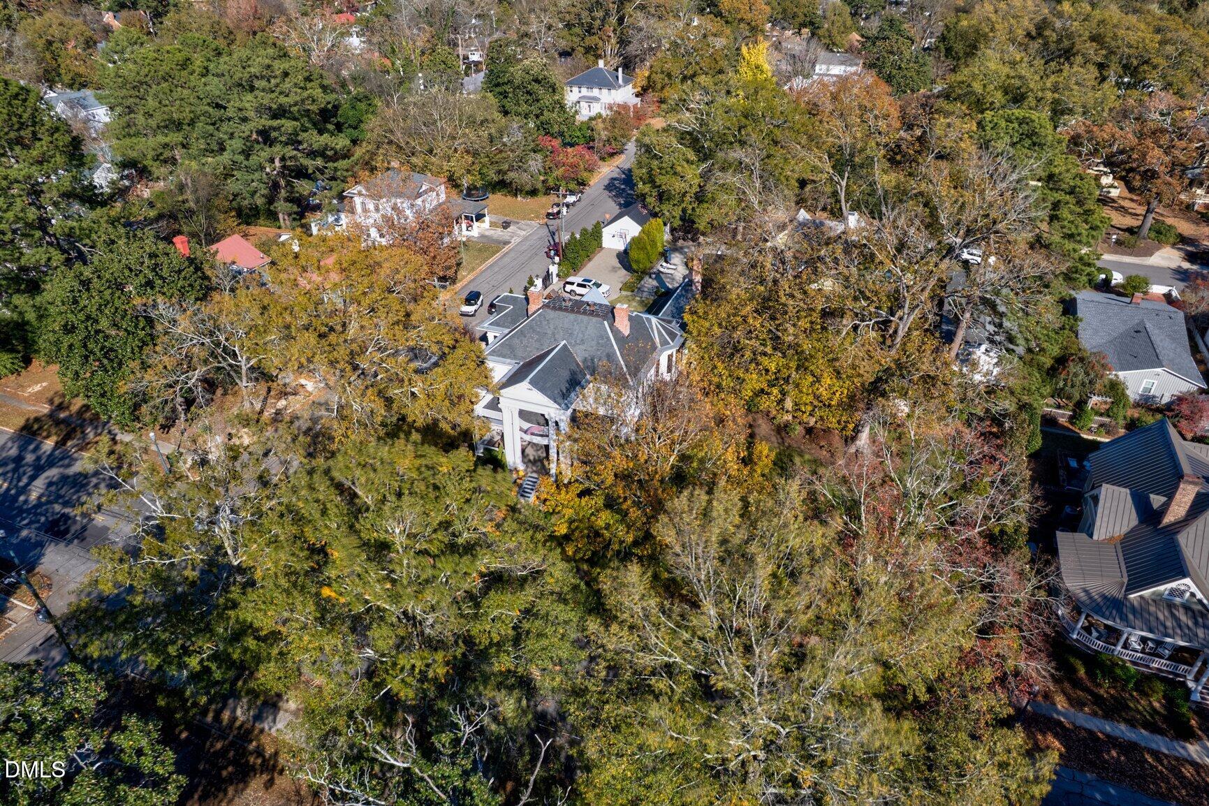 1109 North Main Street Tarboro, NC 27886 - Photo 85 of 90 a picture of tree