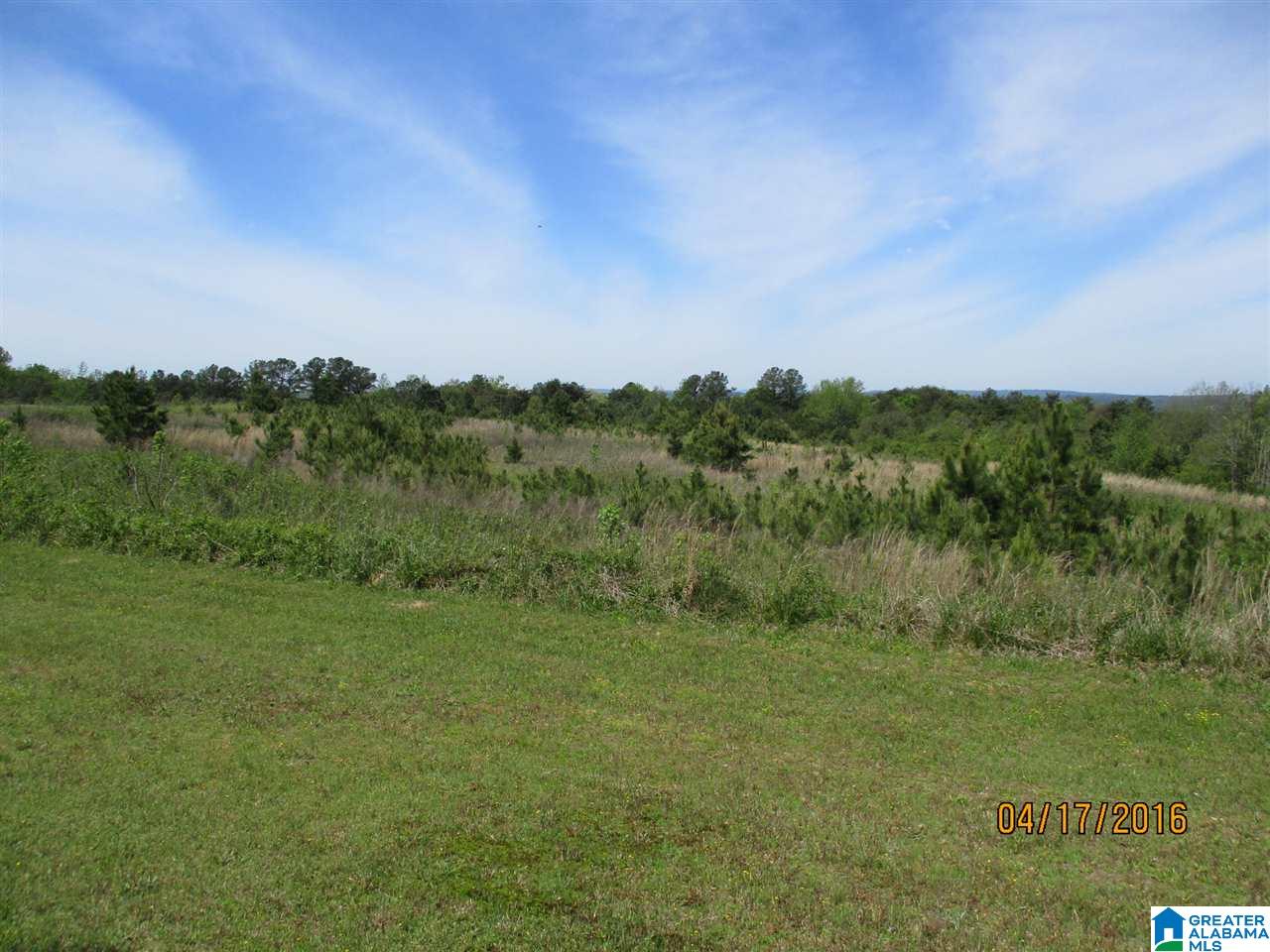 2253 Cliff Springs Road Oneonta, AL 35121 - Photo 34 of 50 Gallery Image 34