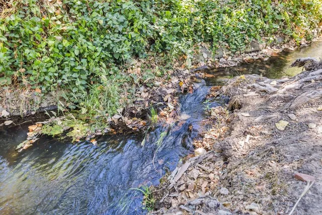 $2,775,000 | 23303 Buena Vista Road, Clements, CA 95227