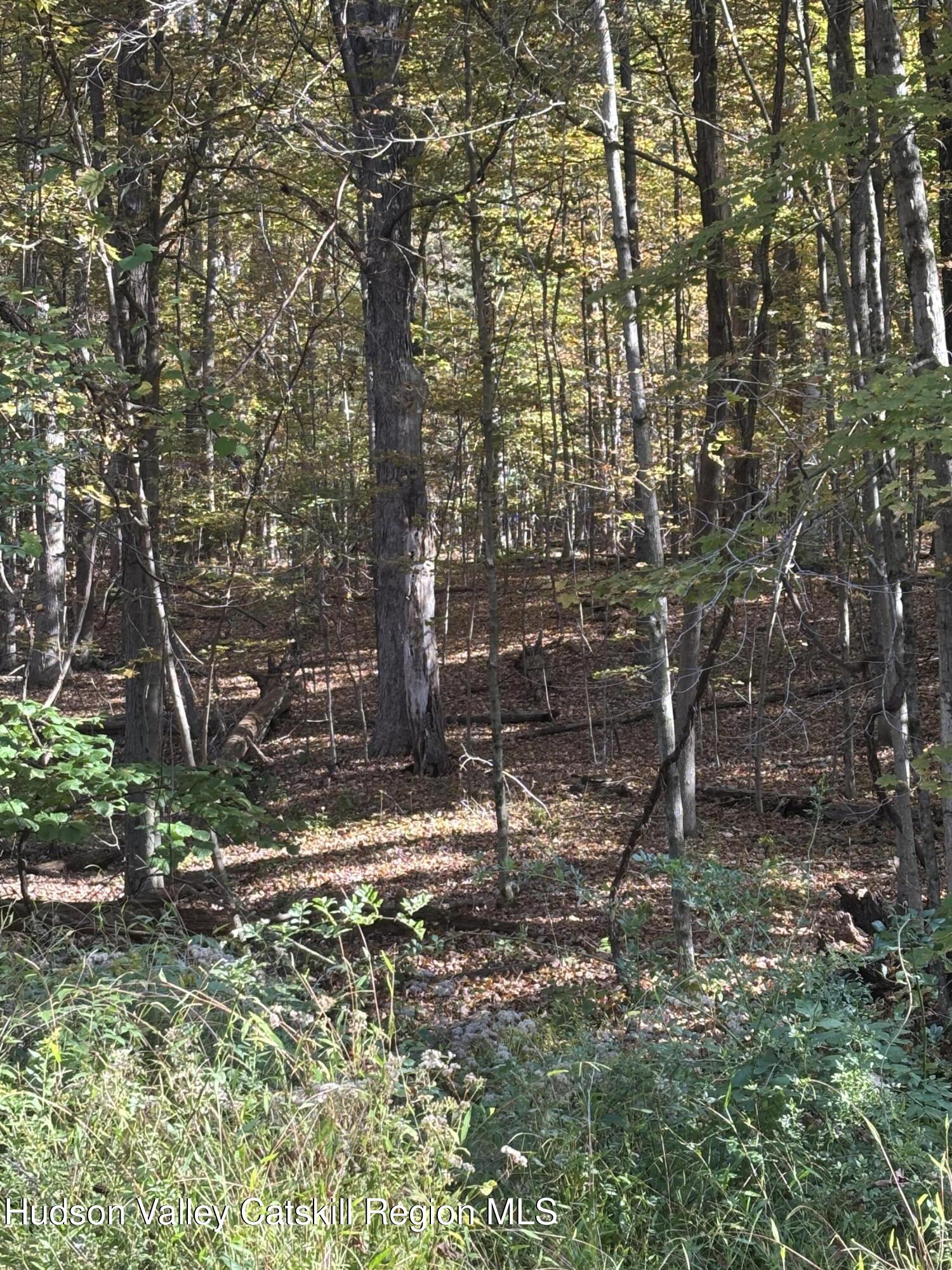 0 Rodman Road Hillsdale, NY 12529 - Photo 2 of 4 IMG_0644