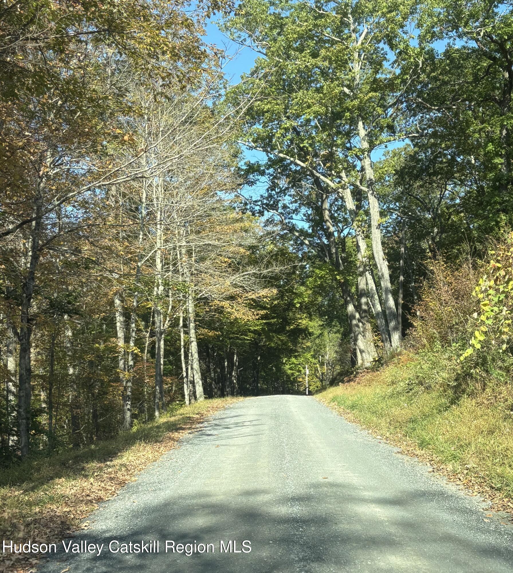 0 Rodman Road Hillsdale, NY 12529 - Photo 3 of 4 IMG_0645