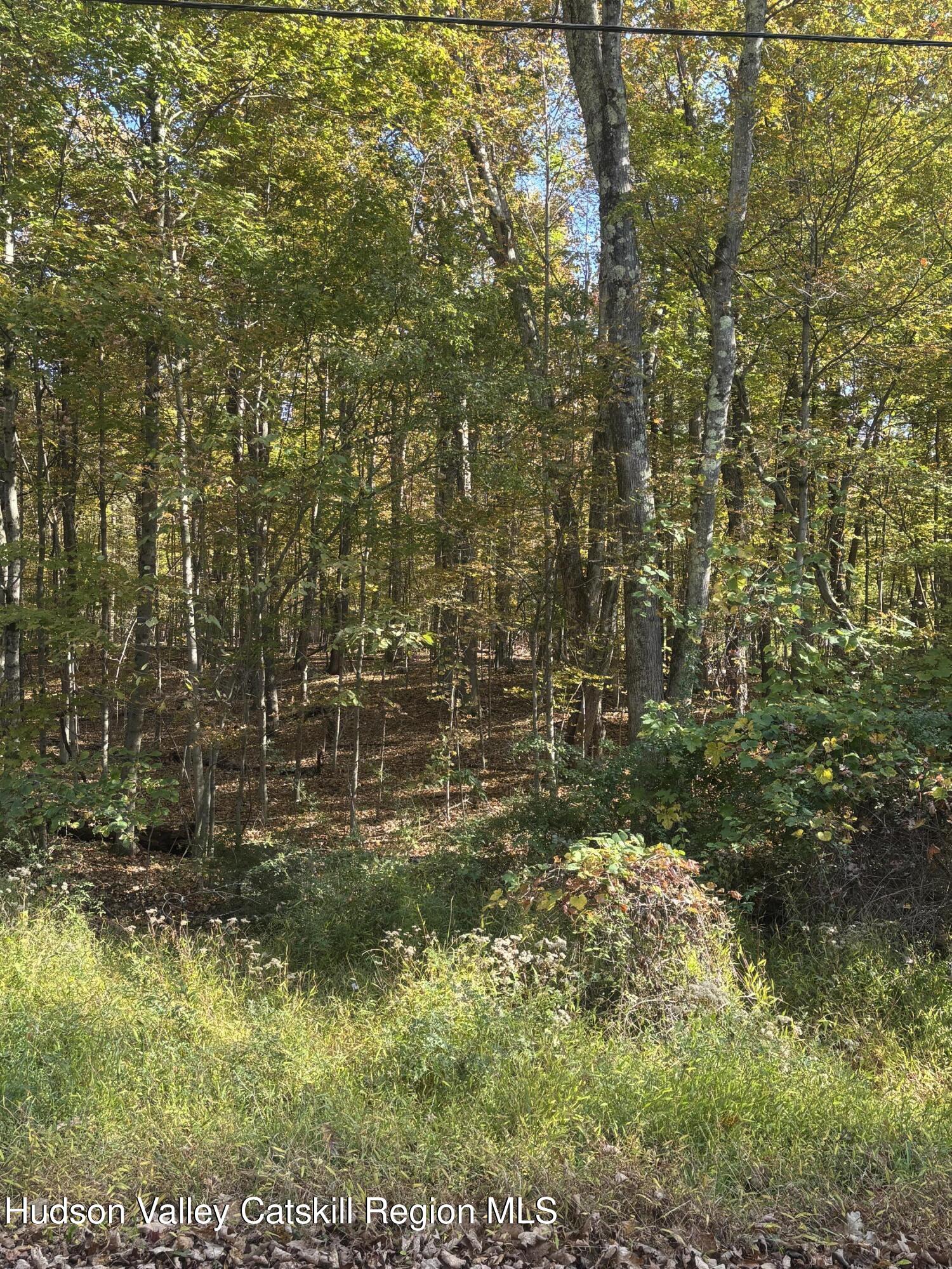 0 Rodman Road Hillsdale, NY 12529 - Photo 4 of 4 IMG_0646