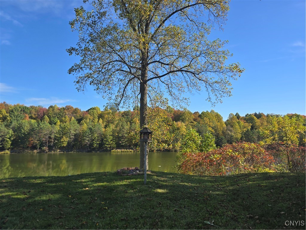 187 Millard Bassett Road Granby, NY 13069 - Photo 16 of 48