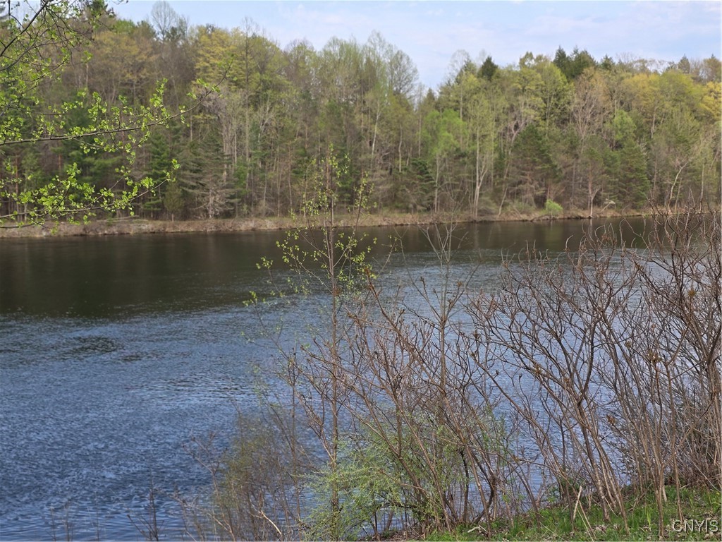 187 Millard Bassett Road Granby, NY 13069 - Photo 17 of 48