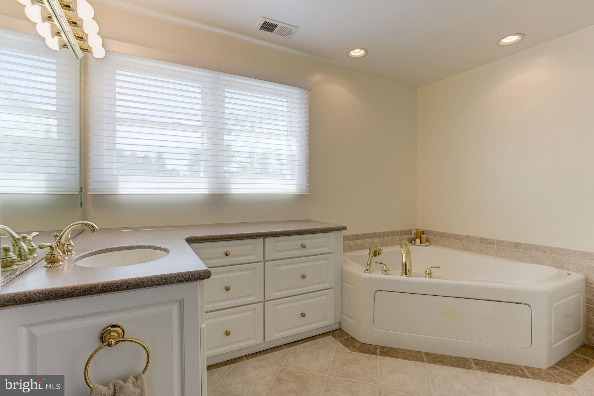 12725 Manor Road Glen Arm, MD 21057 - Photo 20 of 45 Primary Bath
