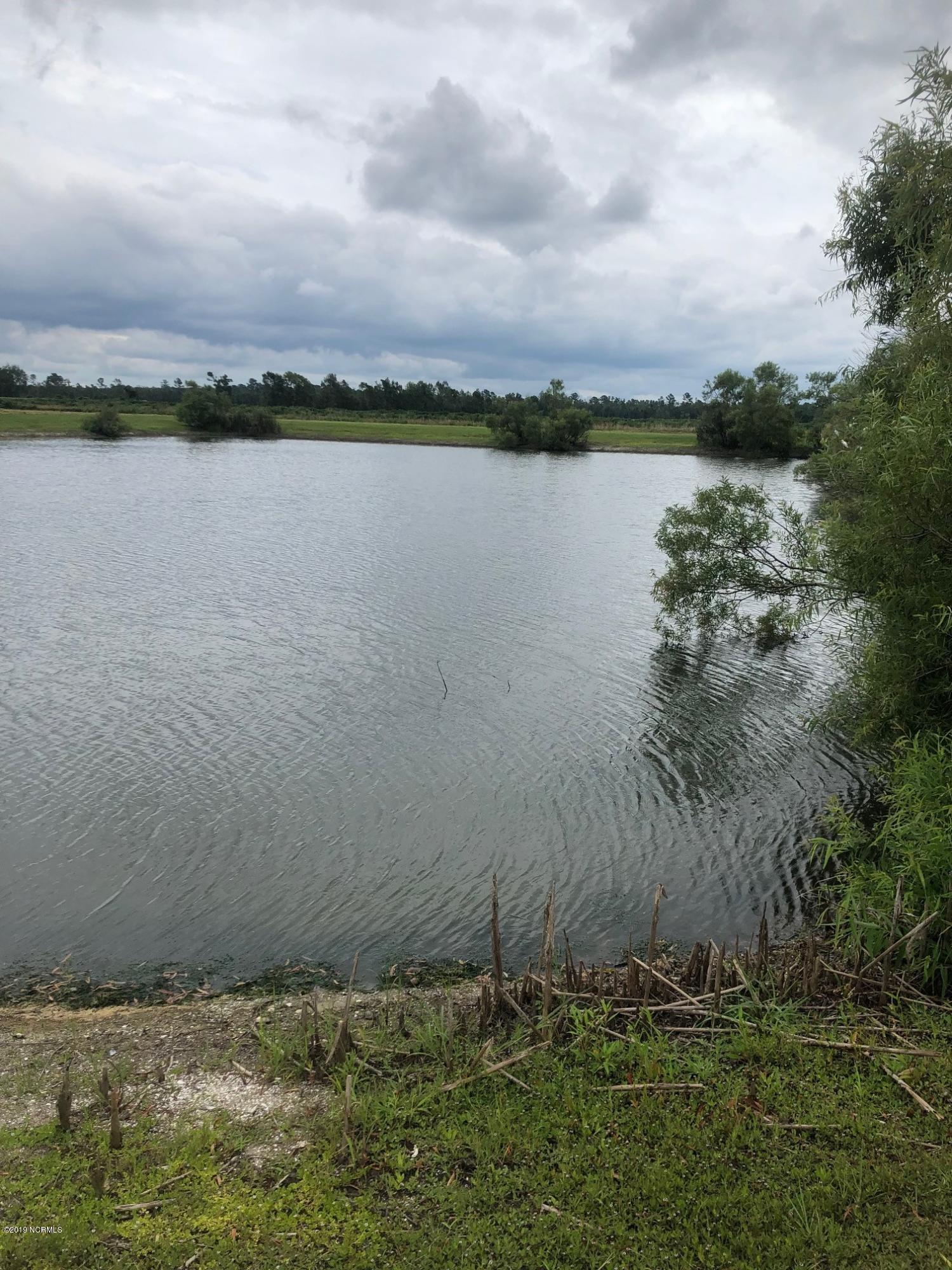 Pond