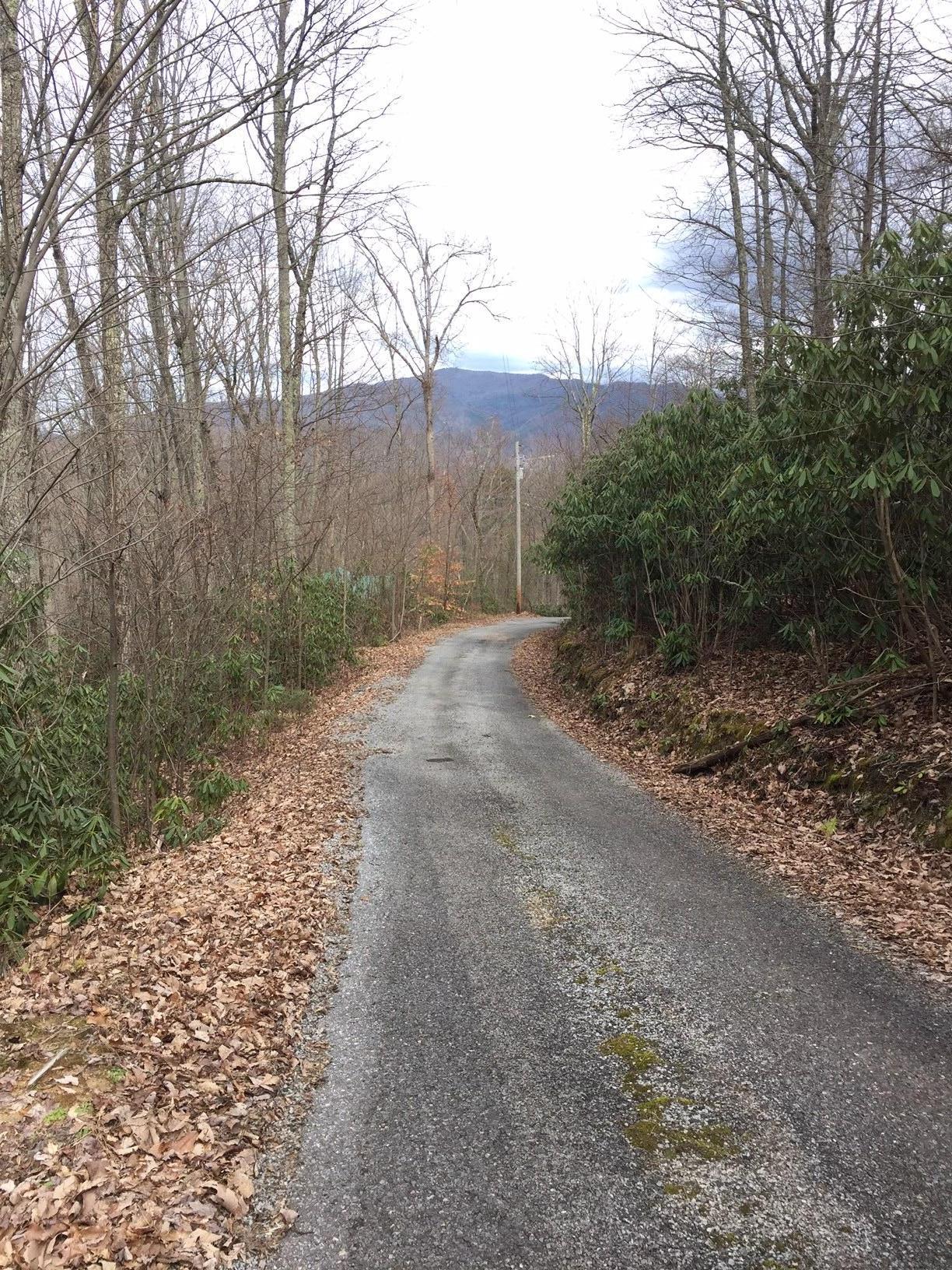 1785 Rocky Ridge Road Cosby, TN 37722 - Photo 3 of 5 IMG_5320