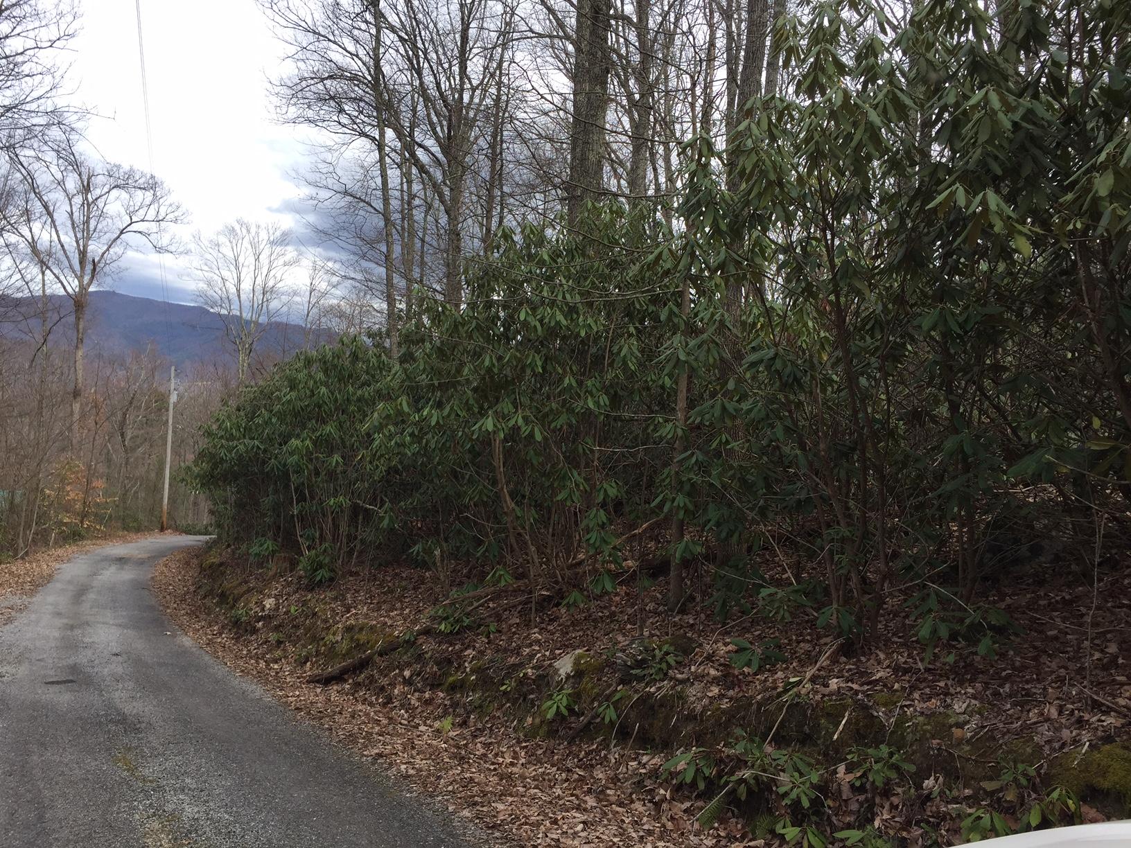 1785 Rocky Ridge Road Cosby, TN 37722 - Photo 4 of 5 IMG_5322