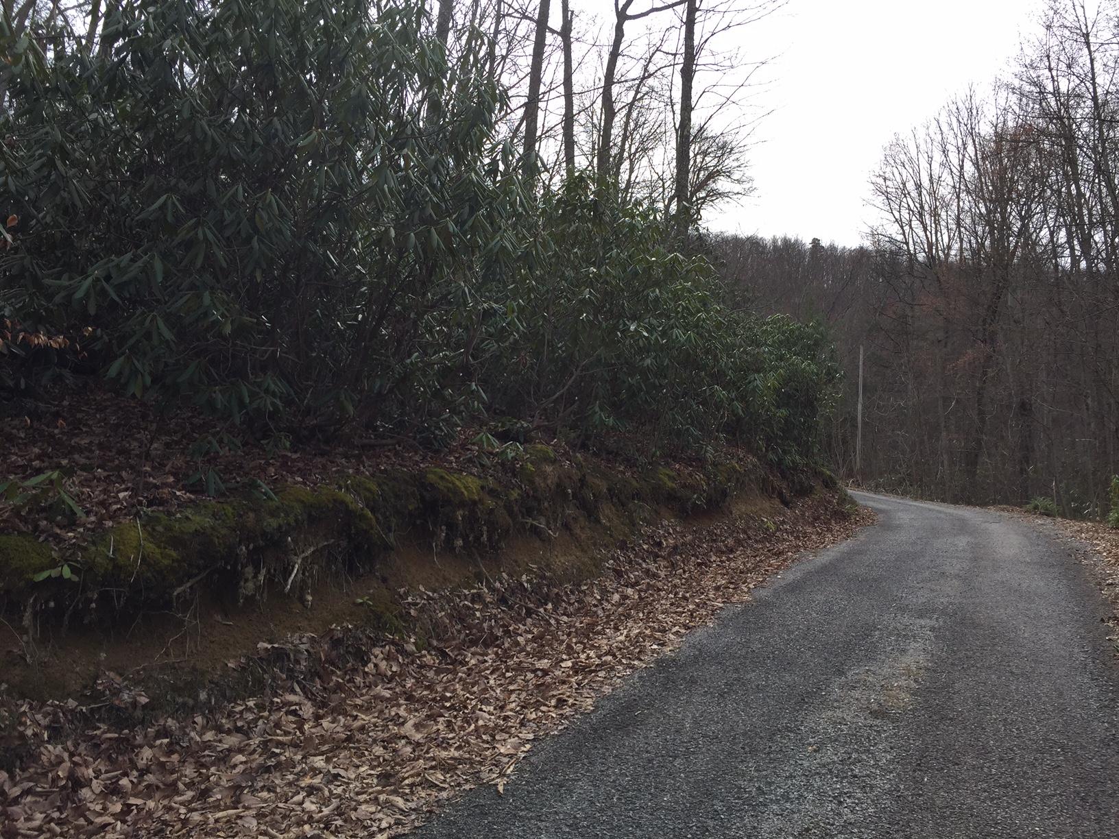 1785 Rocky Ridge Road Cosby, TN 37722 - Photo 5 of 5 IMG_5326