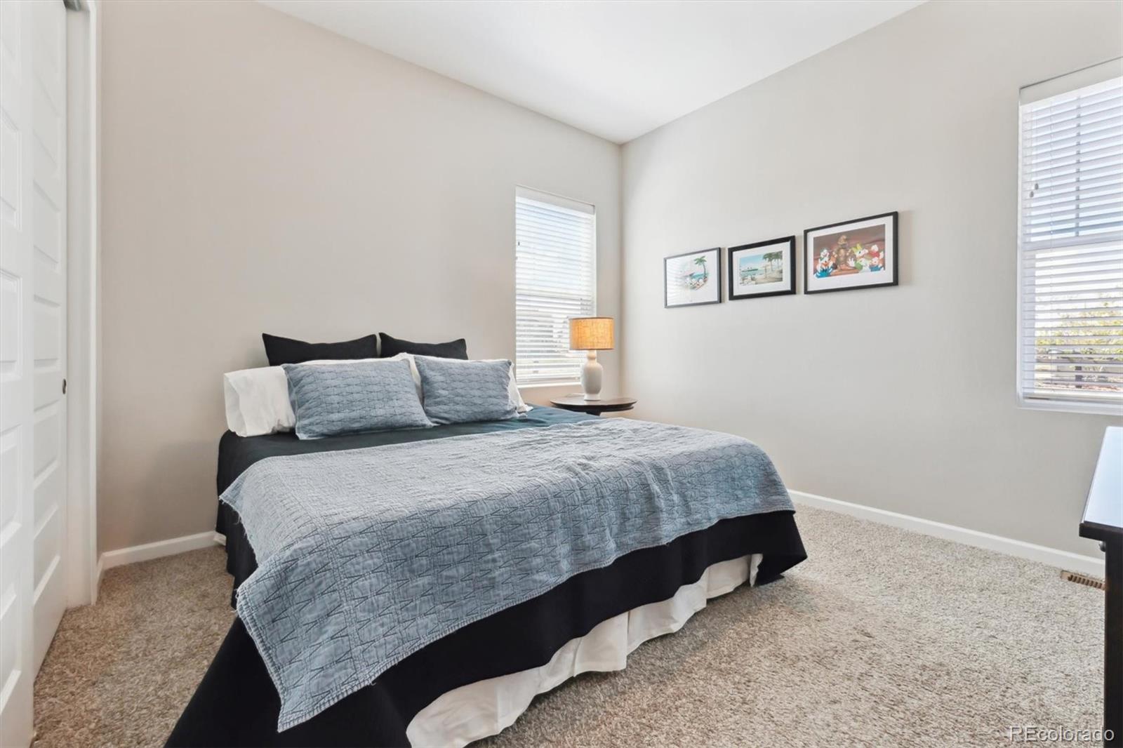 3038 Blithe Point Castle Rock, CO 80108 - Photo 20 of 50