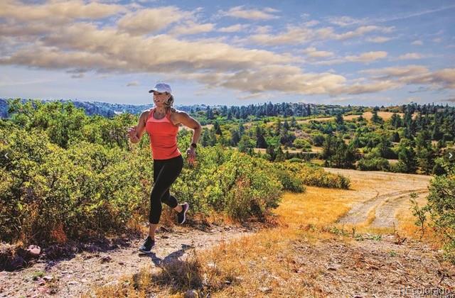 3038 Blithe Point Castle Rock, CO 80108 - Photo 45 of 50