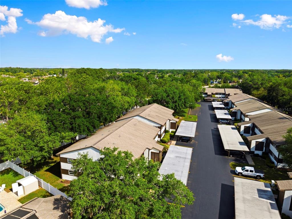 4101 Passport Lane, Unit 203 New Port Richey, FL 34653 - Photo 44 of 83