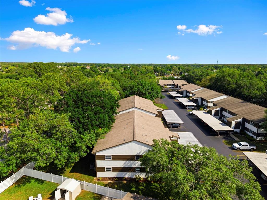 4101 Passport Lane, Unit 203 New Port Richey, FL 34653 - Photo 45 of 83