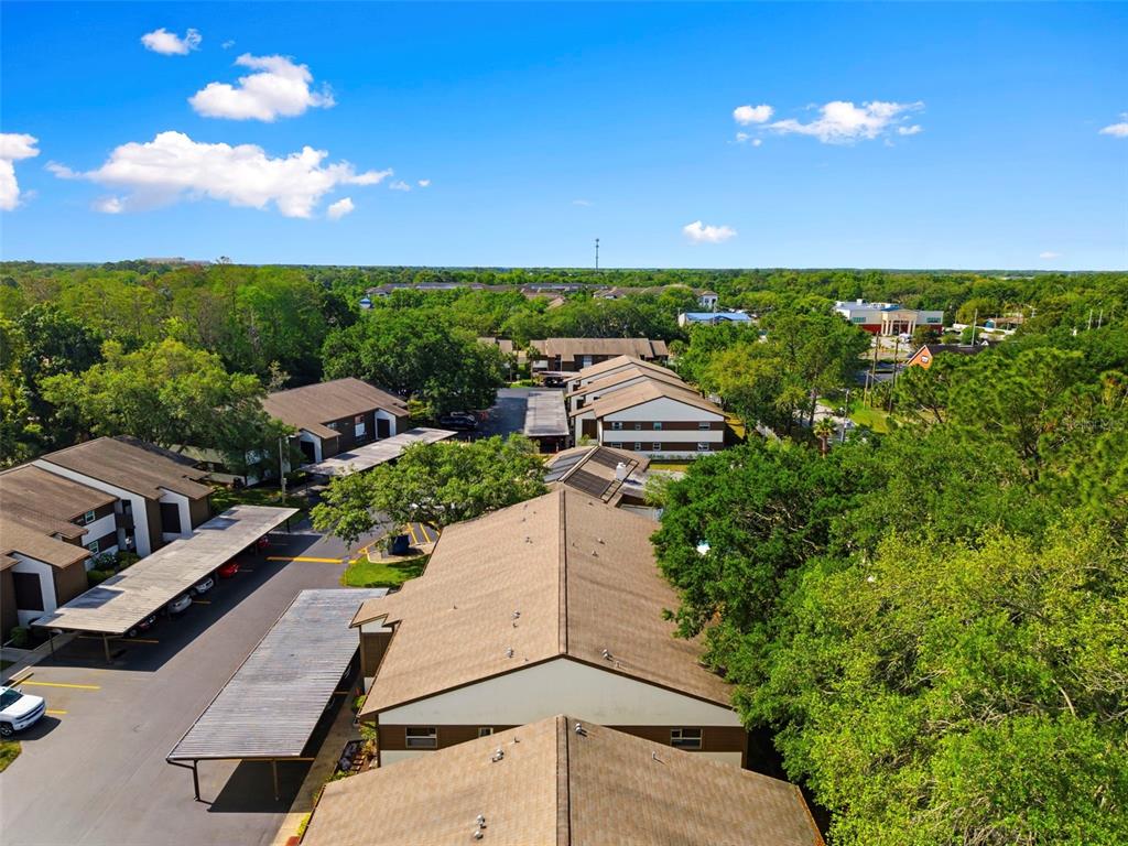 4101 Passport Lane, Unit 203 New Port Richey, FL 34653 - Photo 46 of 83
