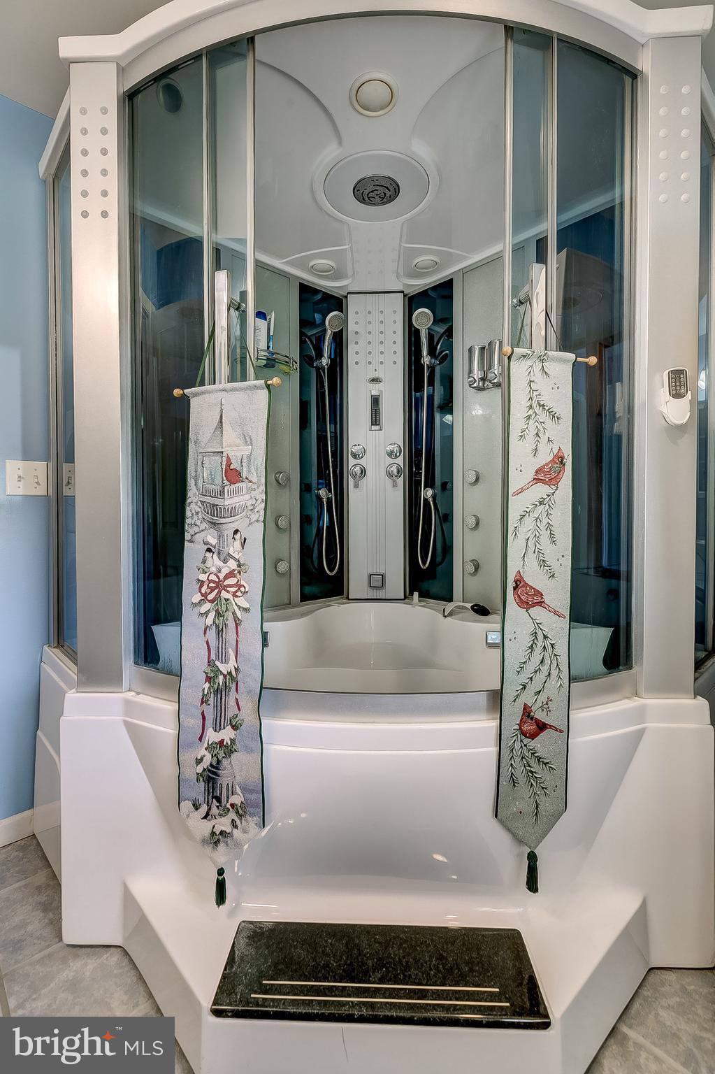 521 Orkney Road Baltimore, MD 21212 - Photo 40 of 61 Oversize Jacuzzi Steam Bath