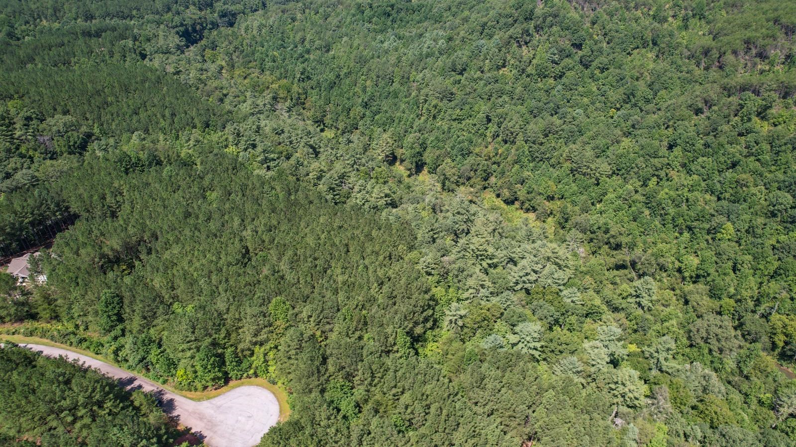 0 Contuck Ln Mill Spring Mill Spring, NC 28756 - Photo 29 of 37 Gallery Image 29