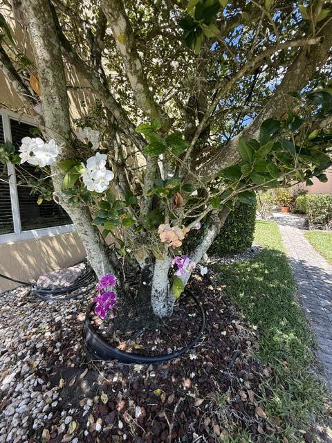 8306 Horseshoe Bay Road Boynton Beach, FL 33472 - Photo 24 of 51 IMG_4453