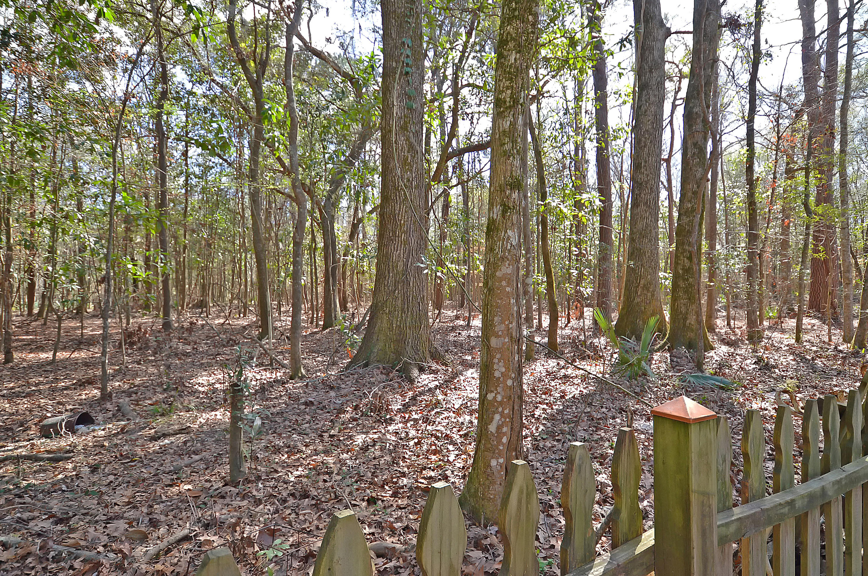 3411 Berryhill Road Johns Island, SC 29455 - Photo 27 of 27 3411 Berryhill Road Johns Island