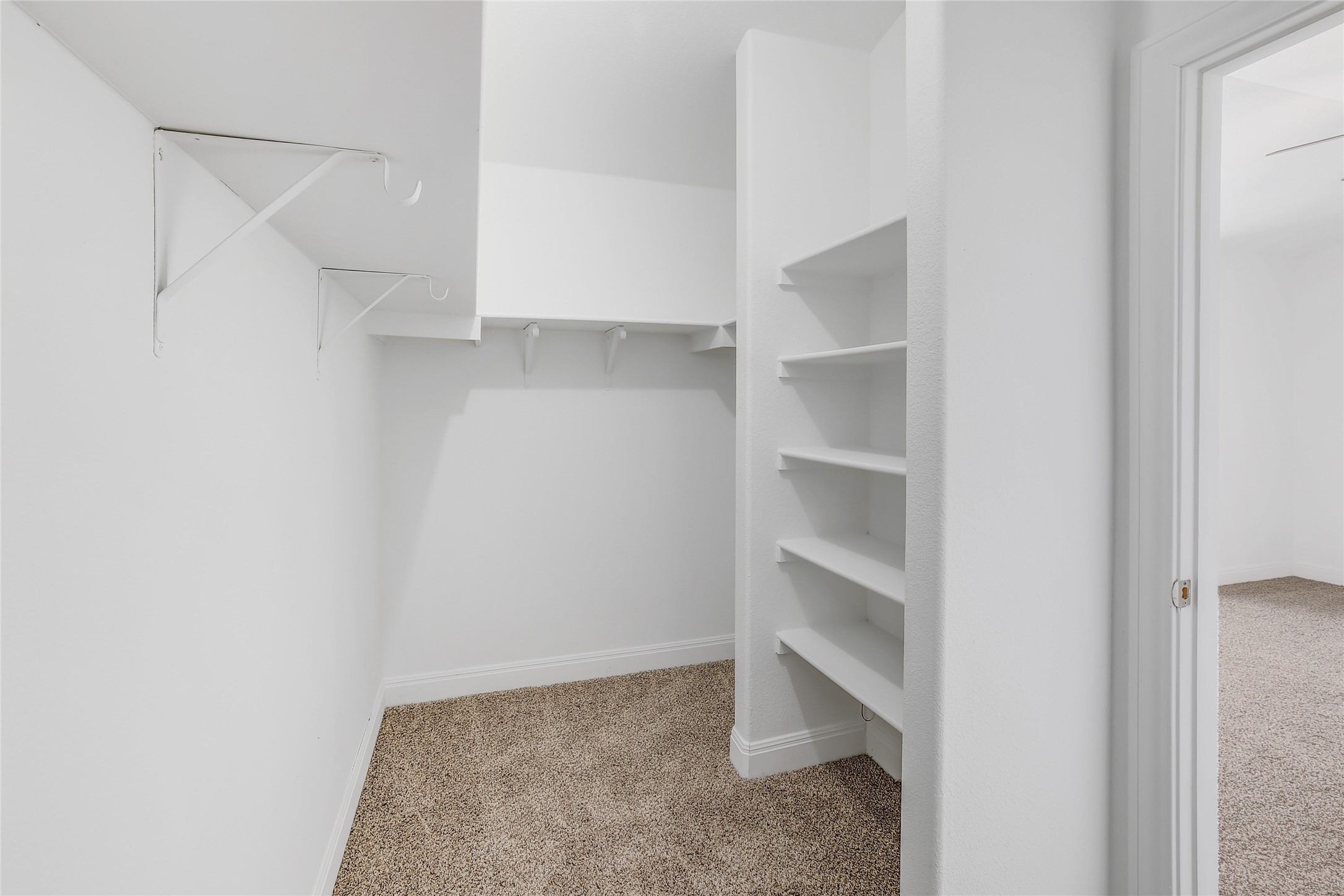 203 Ran Road Leander, TX 78641 - Photo 20 of 31 Primary Walk in closet. Ample built-in shelving and carpeting define this functional walk-in closet space.
