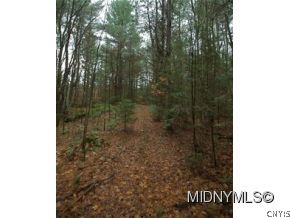 240 Mcclure Road Stratford, NY 13470 - Photo 15 of 24 Gallery Image 15