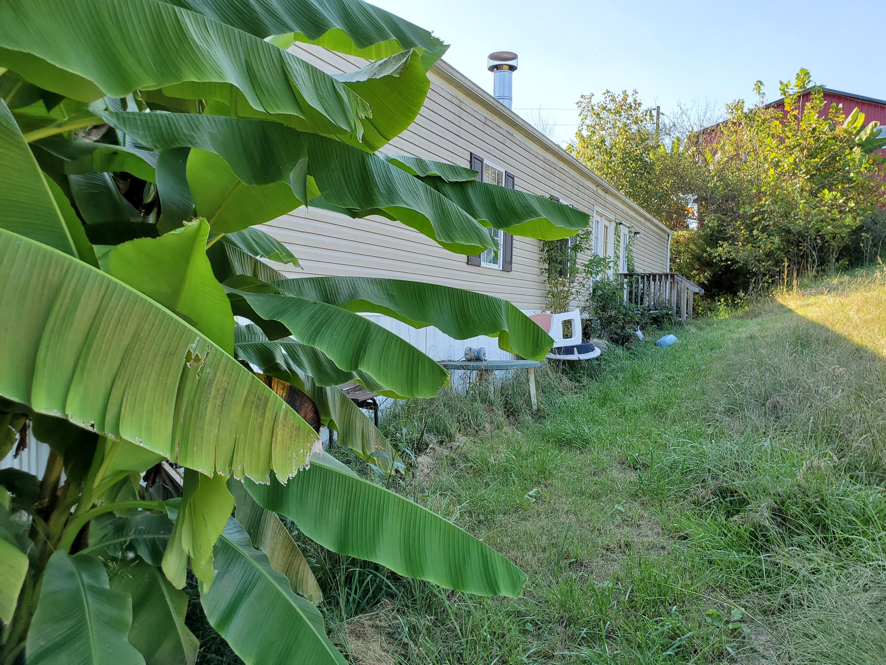 995-1005 Robinwood Road Kingsport, TN 37663 - Photo 20 of 23 20210928_163123