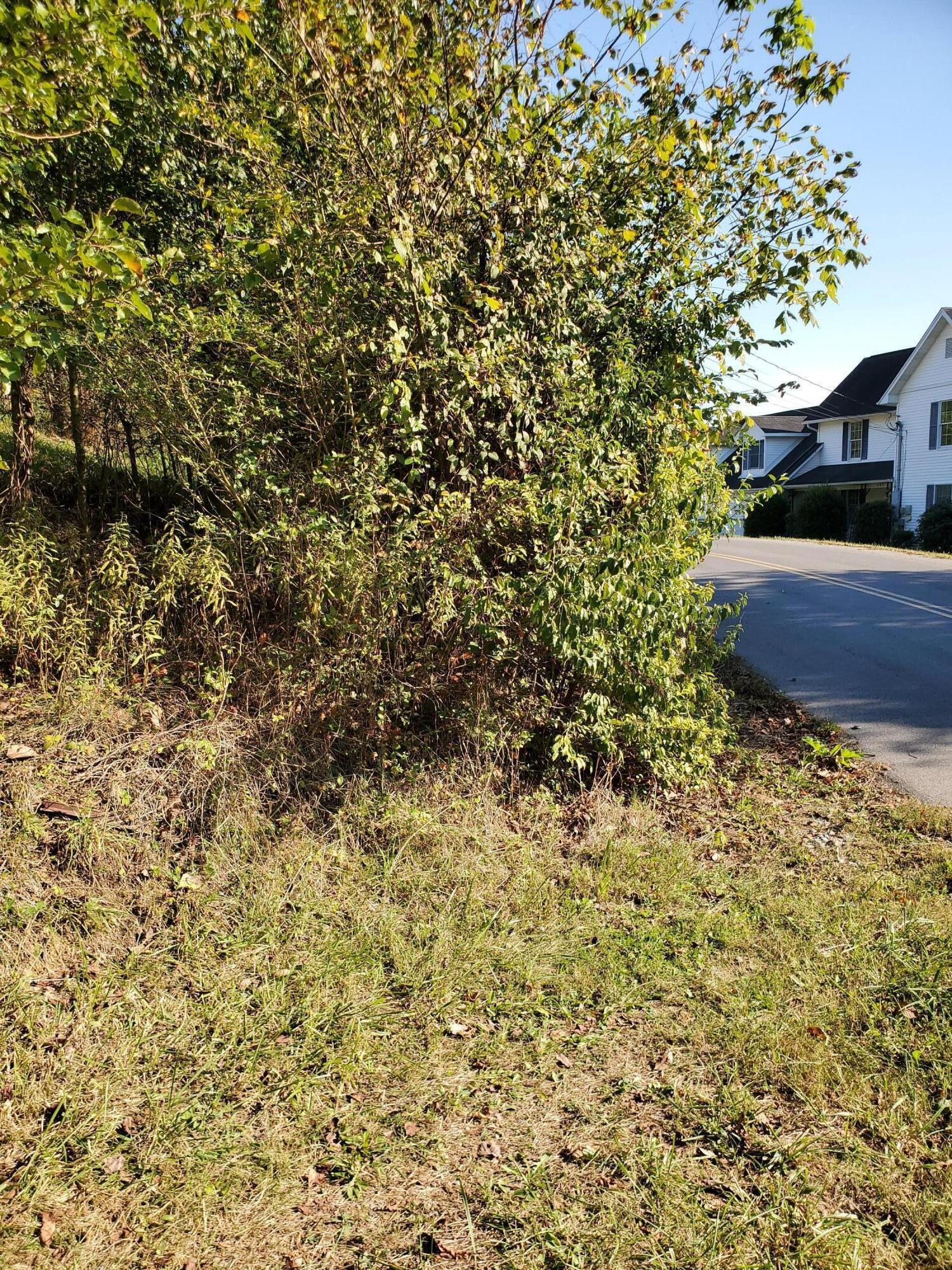 995-1005 Robinwood Road Kingsport, TN 37663 - Photo 23 of 23 20210928_163634