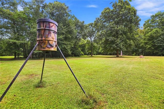 62258 Friendship Church Road Amite, LA 70422 - Photo 29 of 54 Gallery Image 29