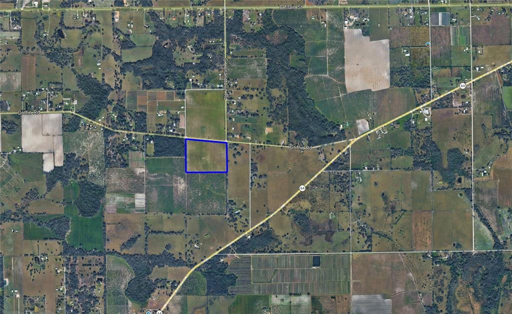 2270 Griffin Road Wauchula, FL 33873 - Photo 2 of 2 Gallery Image 2