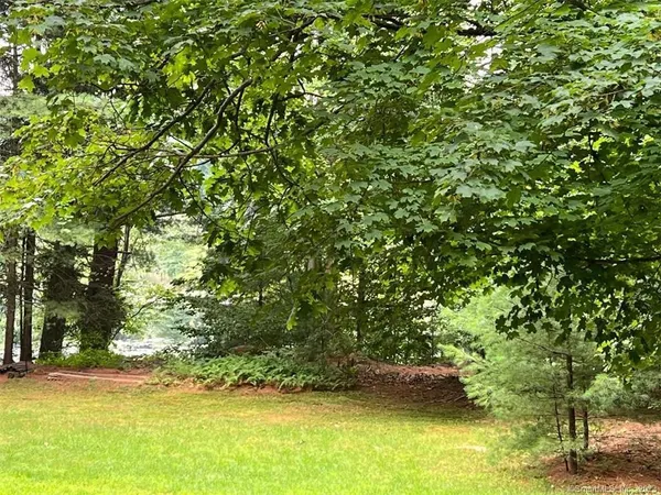 a view of a yard with a tree