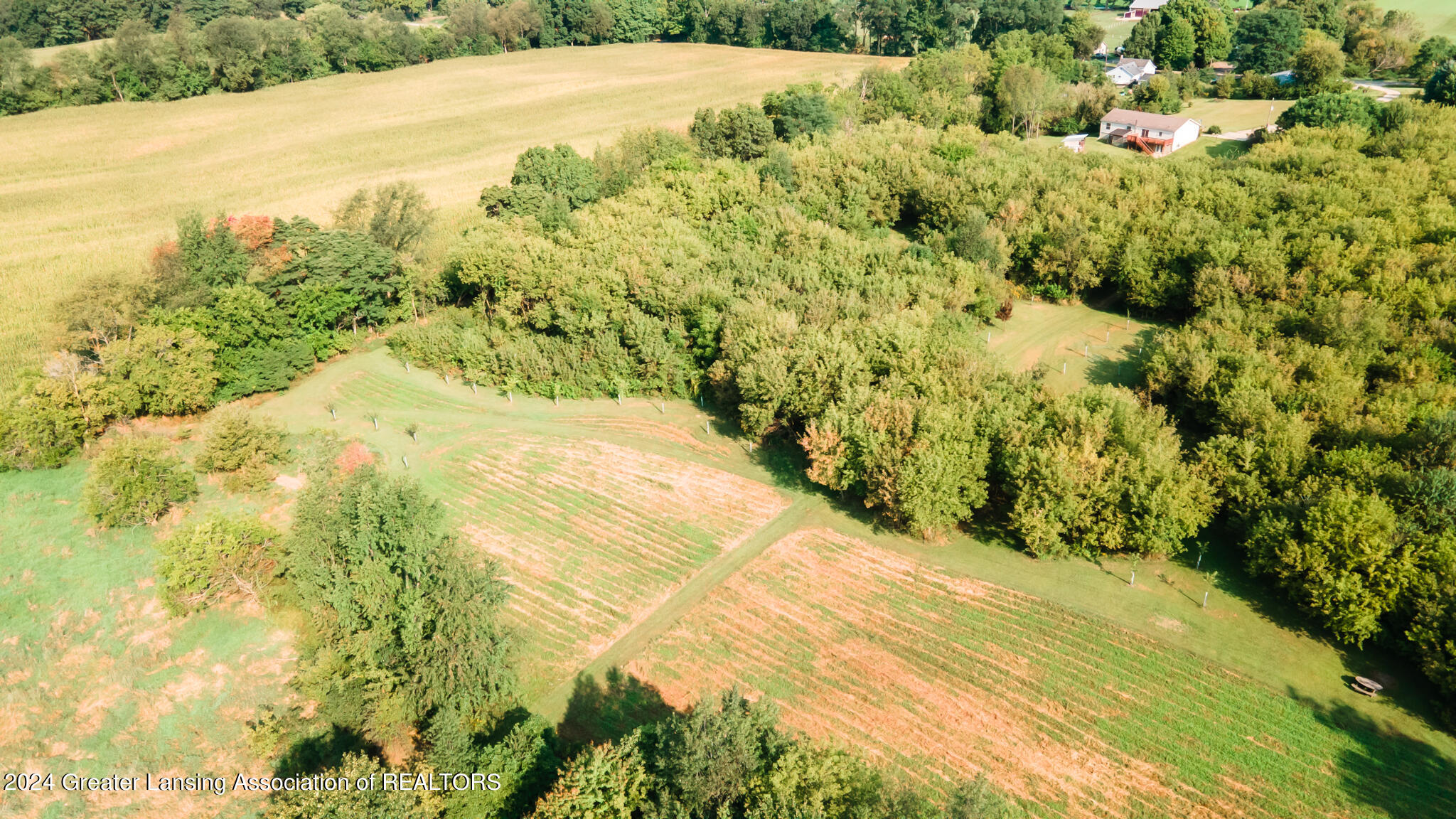 10483 Wilcox Road Onondaga, MI 49264 - Photo 43 of 63 10483Wilcox43