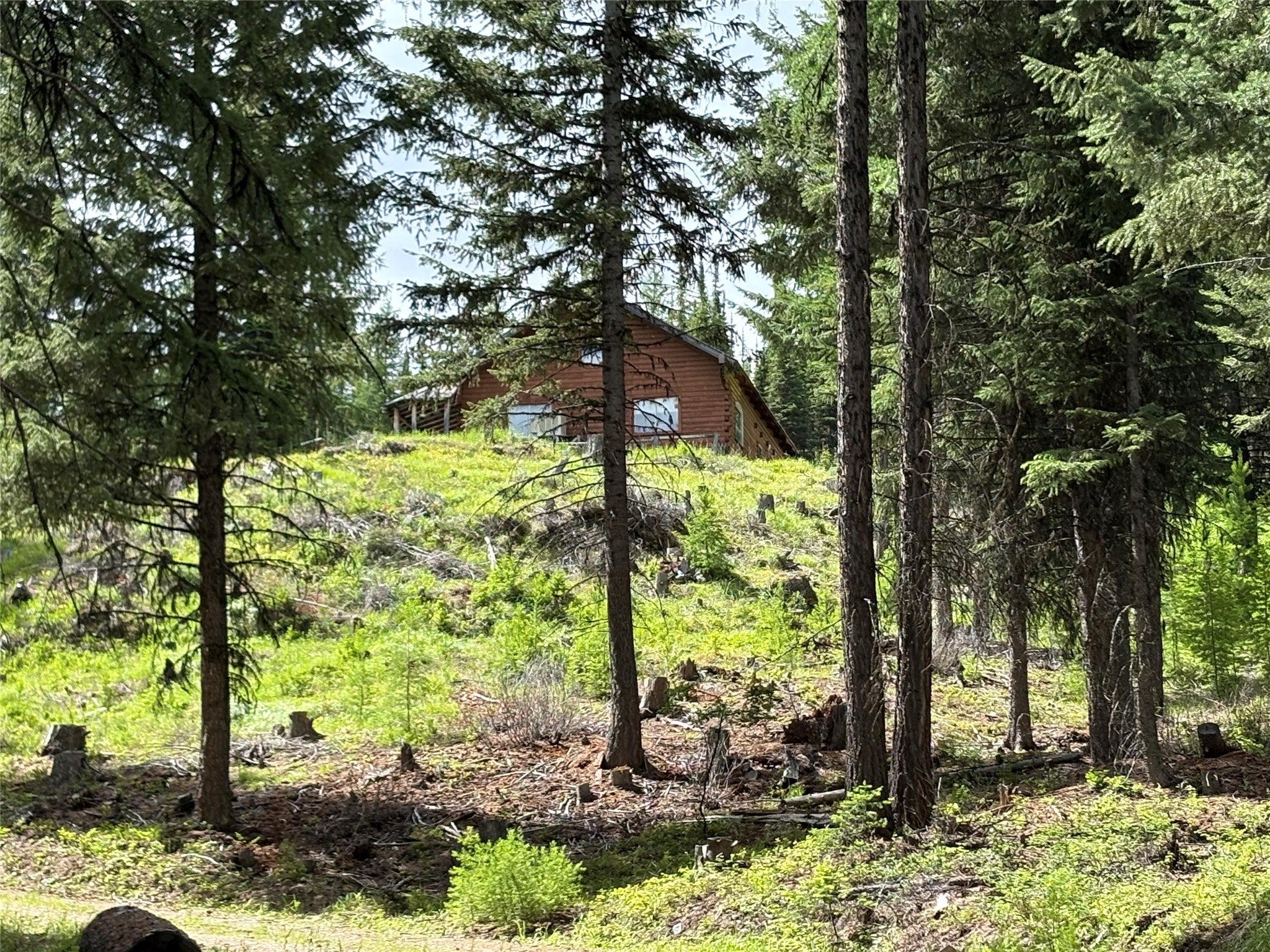 2662 Butcher Creek Road Trego, MT 59934 - Photo 5 of 26 Gallery Image 5