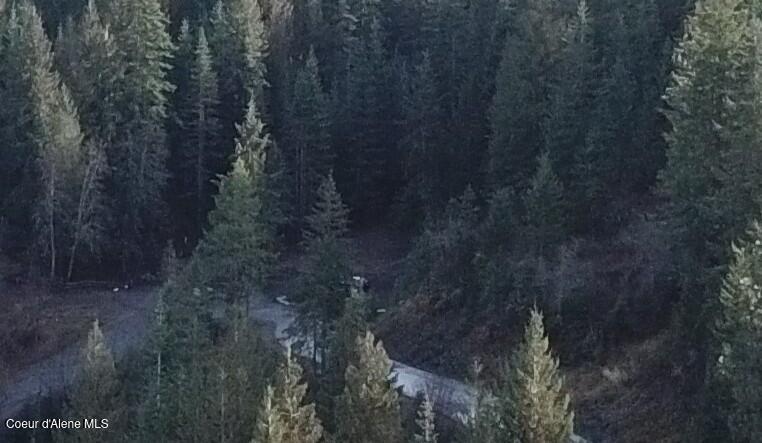 Flying Eagle Harrison, ID 83833 - Photo 12 of 16 DJI_0004