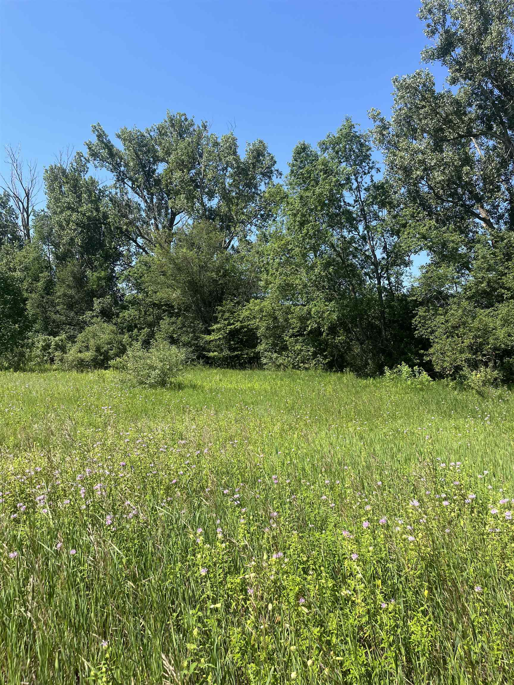 Packingham Road Manton, MI 49663 - Photo 17 of 25