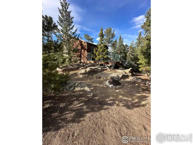 a view of a large tree in front of a building