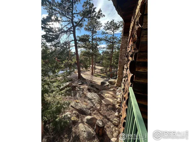 a view of a forest filled with trees