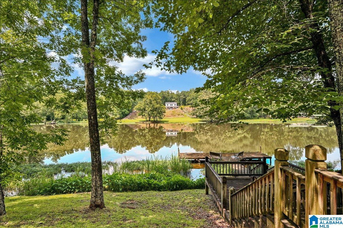 526 Boat Launch Road Quinton, AL 35130 - Photo 47 of 56