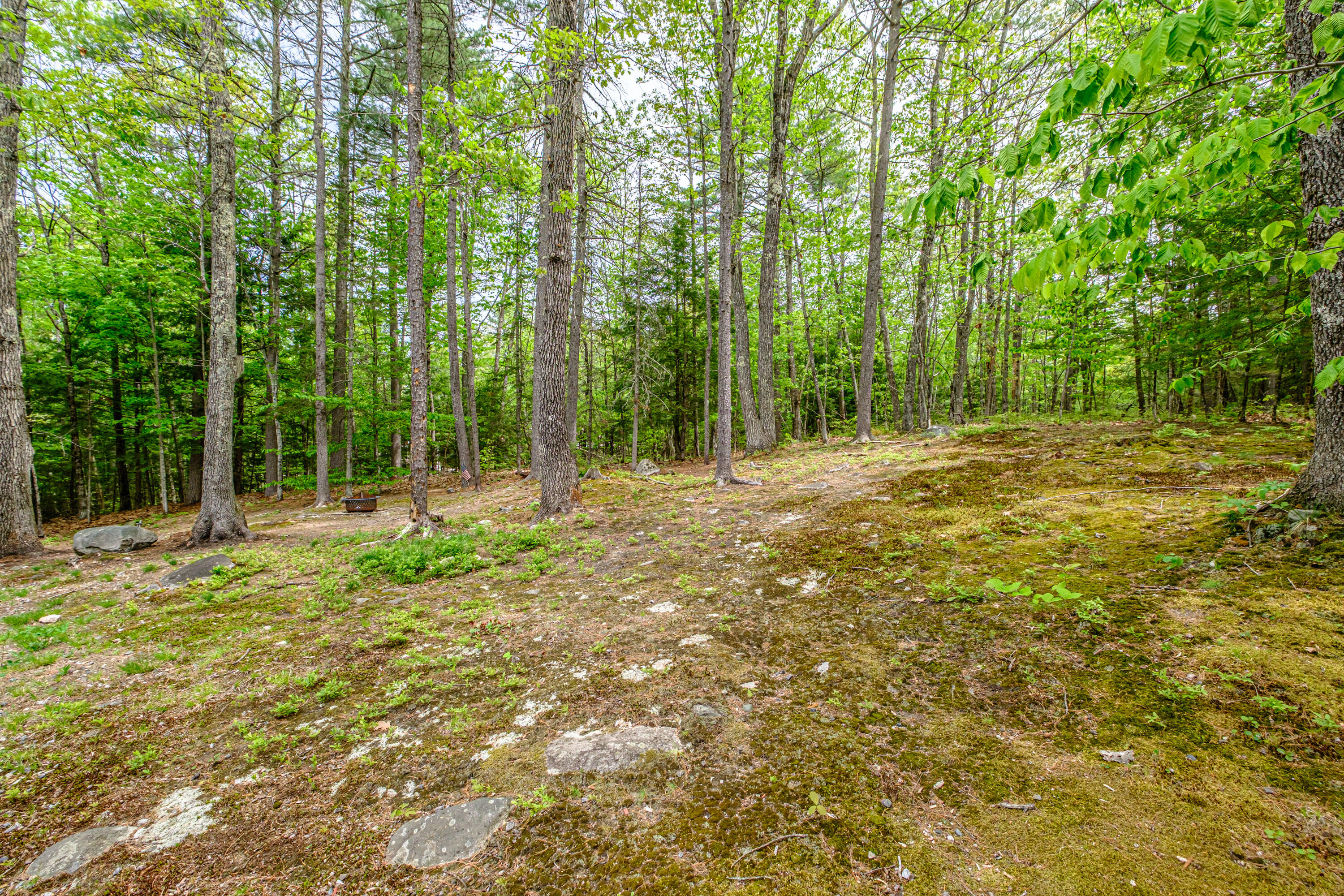 52 Alice Road Casco, ME 04015 - Photo 49 of 54 20260521gp-61087