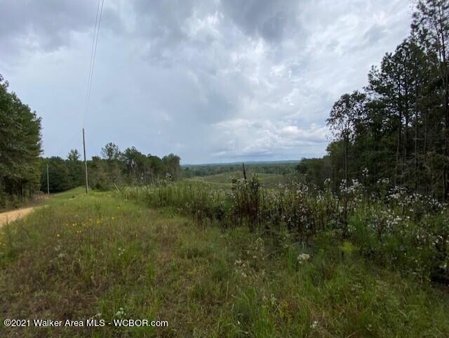 2036 Dodson Road Winfield, AL 35594 - Photo 34 of 37 Gallery Image 34