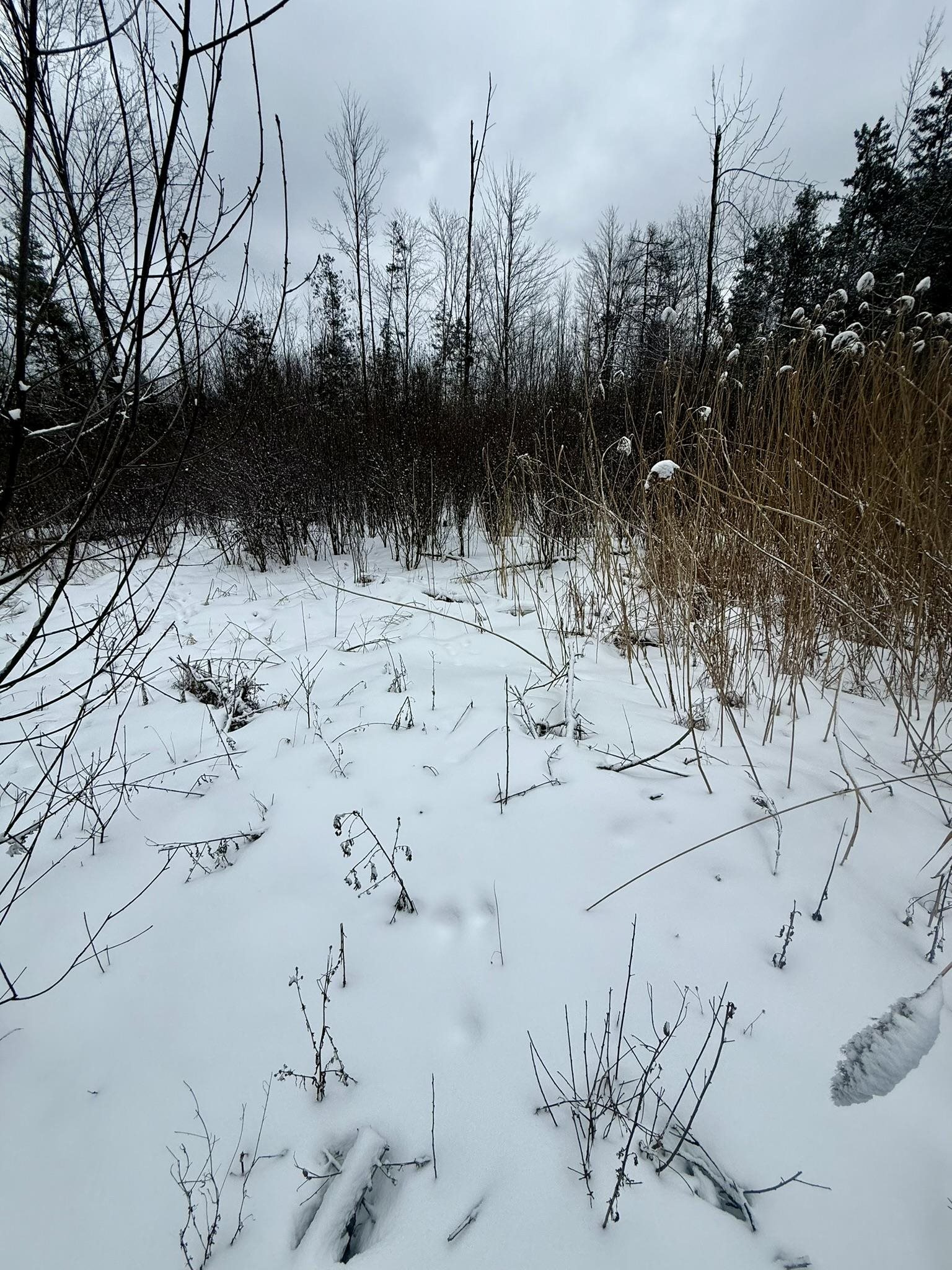 Krause Road Marinette, WI 54143 - Photo 11 of 11