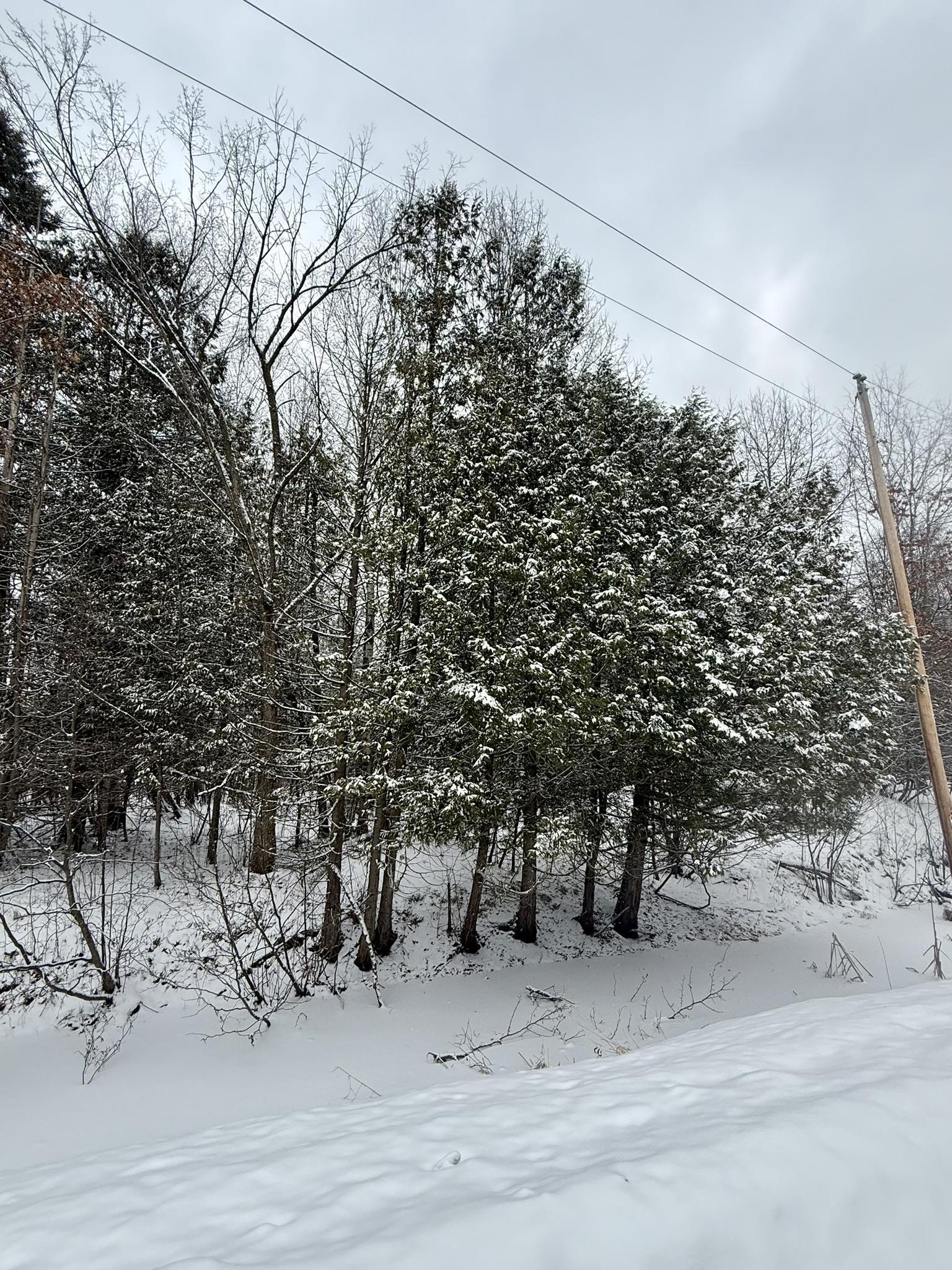 Krause Road Marinette, WI 54143 - Photo 3 of 11