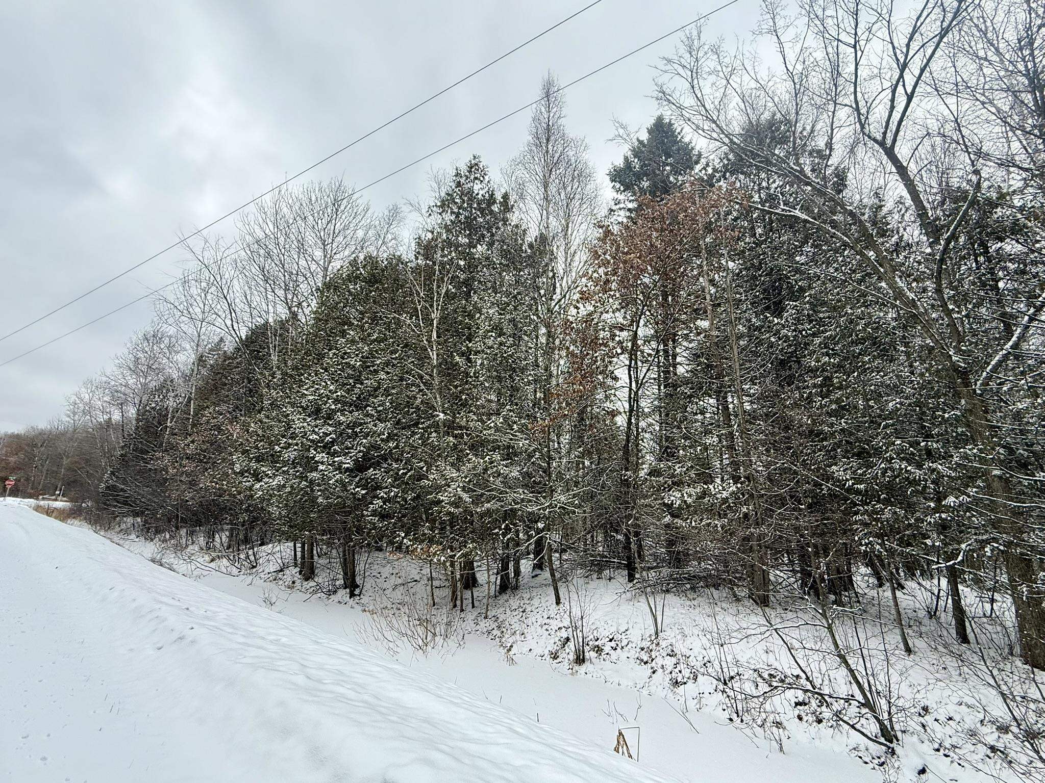 Krause Road Marinette, WI 54143 - Photo 4 of 11