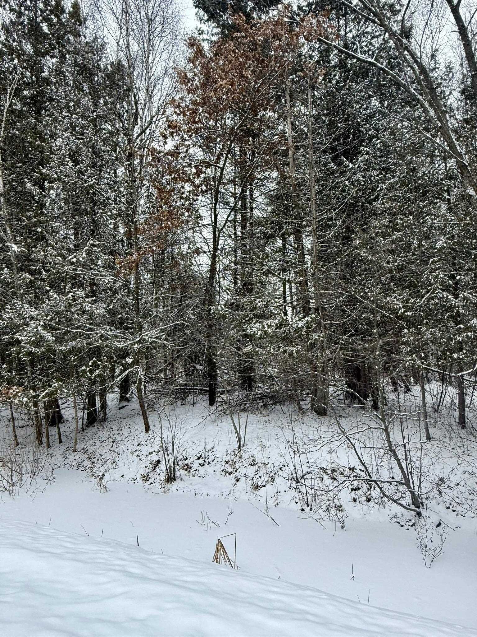 Krause Road Marinette, WI 54143 - Photo 5 of 11