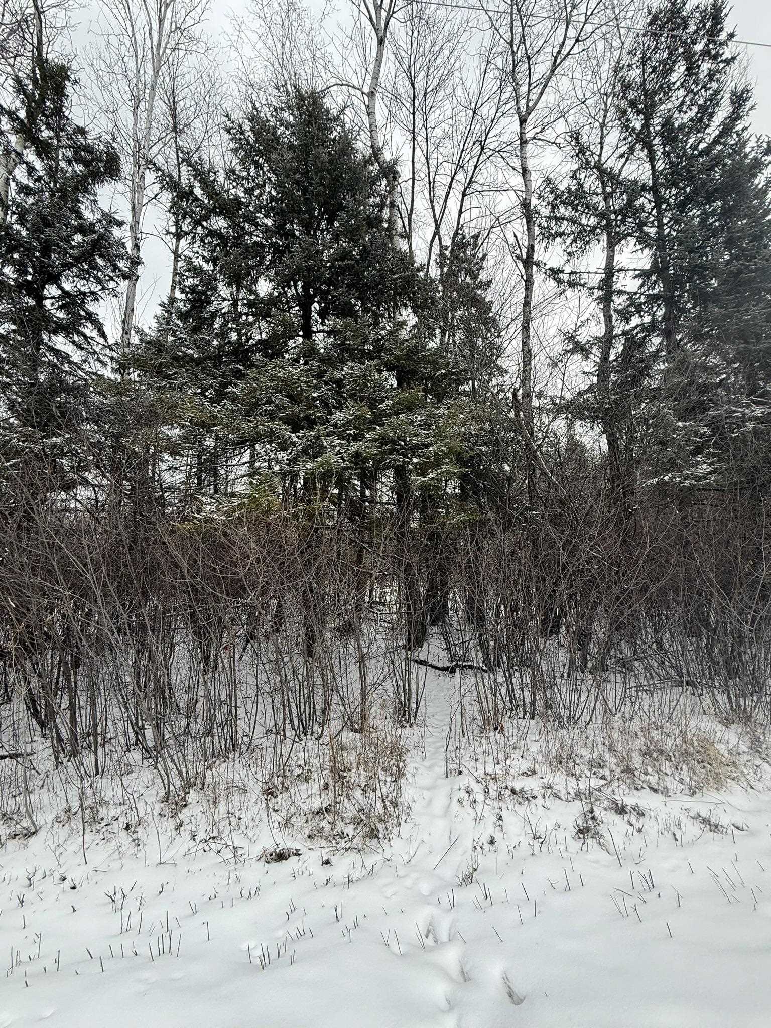 Krause Road Marinette, WI 54143 - Photo 7 of 11