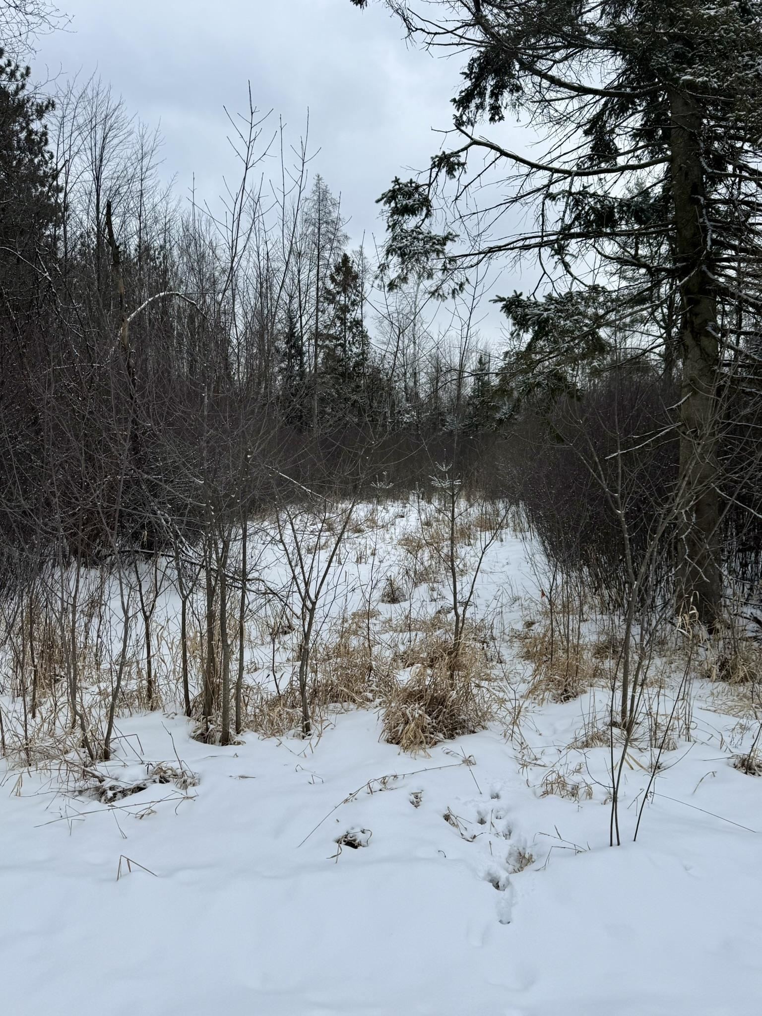 Krause Road Marinette, WI 54143 - Photo 9 of 11