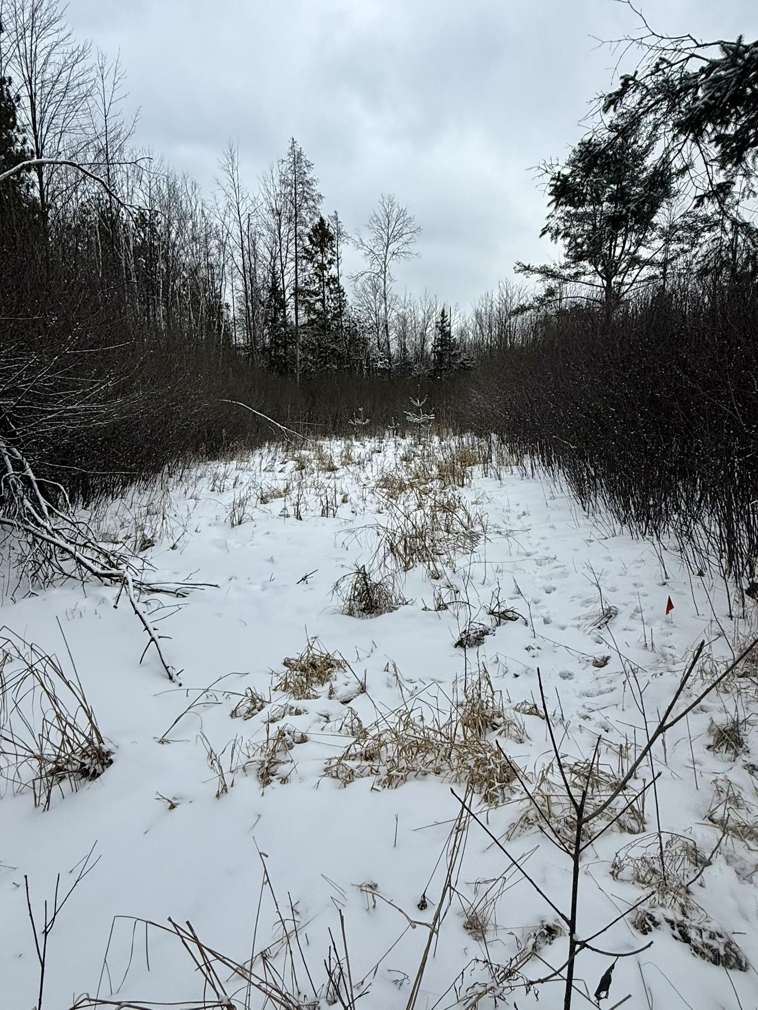 Krause Road Marinette, WI 54143 - Photo 10 of 11